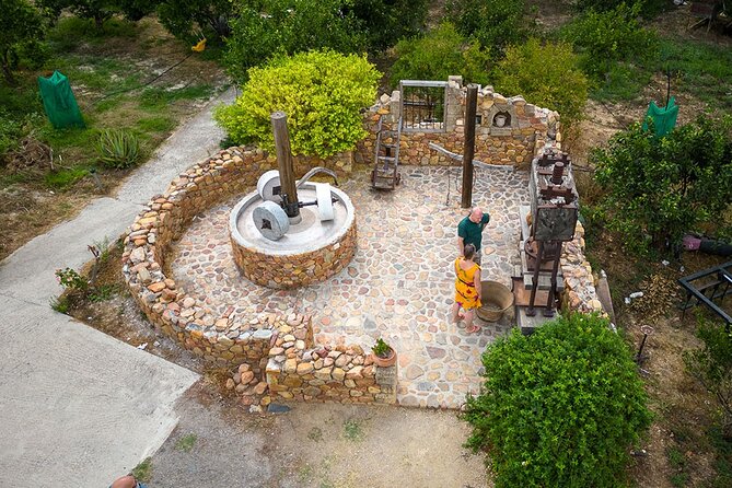 Crete Wine and Olive Oil Tour - Anoskeli Winery and Olive Mill: Where the Day Gets Real
