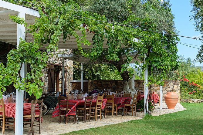 Crete Wine and Olive Oil Tour - Timing and Pace: A 6-Hour Day That Doesn’t Drag