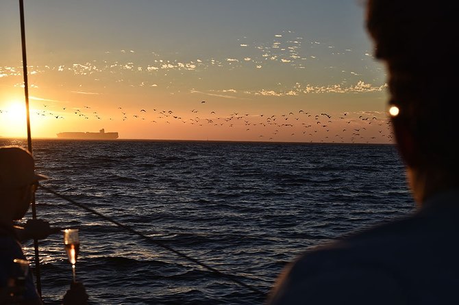 Cruise and Dine Dinner / Cape Town: Sunset Champagne Cruise and 3-Course Dinner - Waterfront Charters meeting point: get oriented in minutes