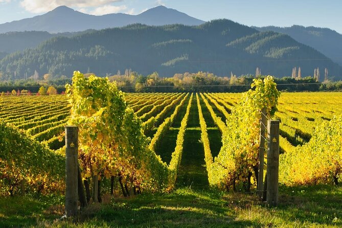 CRUISE SHIP DAY Marlborough Hop On Hop Off Wine Tours - Choosing your stops: a practical way to get the day you want