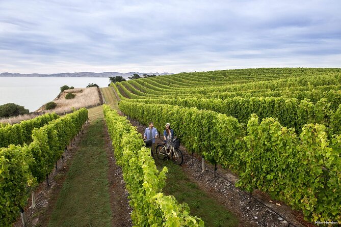 CRUISE SHIP DAY Marlborough Hop On Hop Off Wine Tours - The Omaka factor: why these museum stops work so well