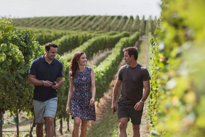 CRUISE SHIP DAY Marlborough Hop On Hop Off Wine Tours - Should you book this Marlborough hop-on hop-off bus tour?