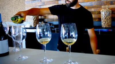Cyprus: Troodos Mountain Wine Tour with a Local - Pickup and timing: what a 7–8 hour day really means
