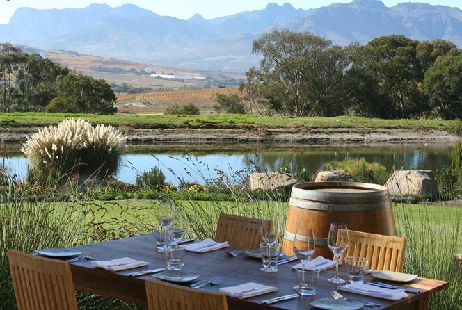 Daily Different small group WINE tour - STELLENBOSCH PICKUP only - Key things you’ll notice right away
