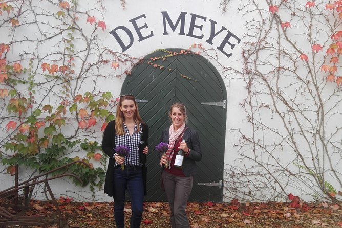 Daily Different small group WINE tour - STELLENBOSCH PICKUP only - Price and value: is $97.77 actually a good deal?