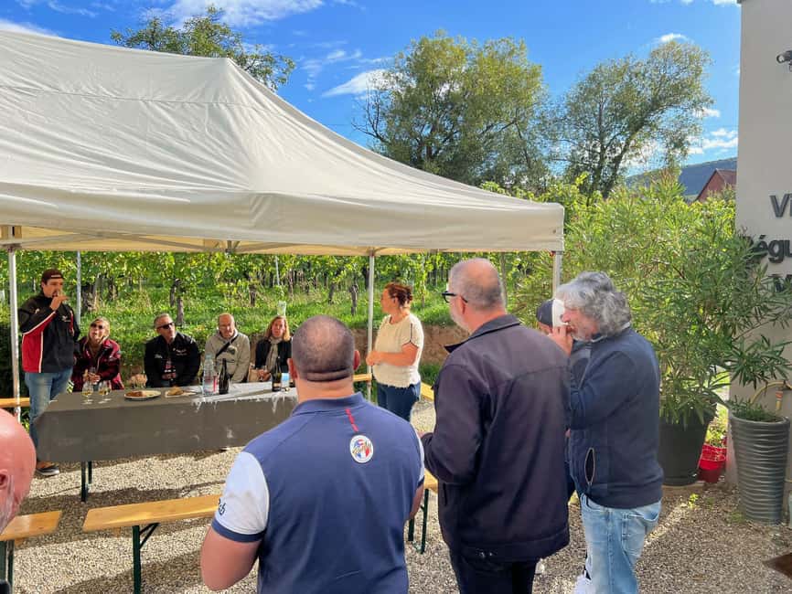 Dare to Alsace Wine with a Feminine Touch - Key Highlights to Expect at Domaine Gueth