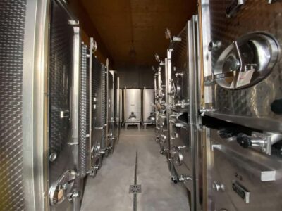 Dare to Alsace Wine with a Feminine Touch - The Vineyard Walk: Where Organic Farming Gets Real