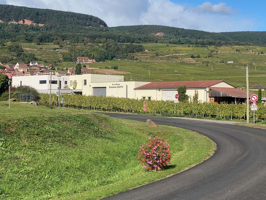 Dare to Alsace Wine with a Feminine Touch - Should You Book Dare to Alsace Wine with a Feminine Touch?