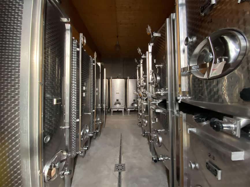 Dare to Alsace Wine with a Feminine Touch - The Vineyard Walk: Where Organic Farming Gets Real