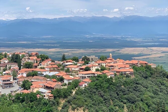 Day tour to Kakheti wine region Georgia - Bread Baking Masterclass: Hands-On or Mostly Tasting?