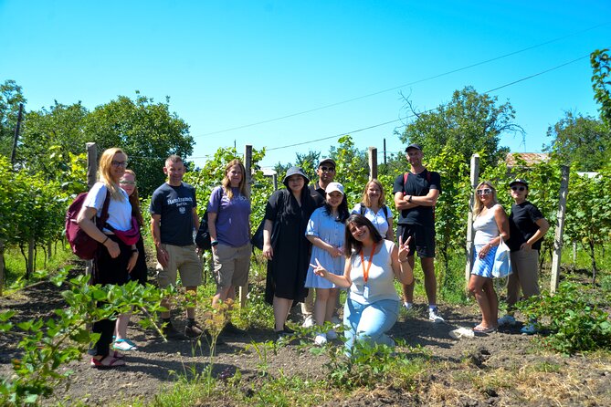 Day Trip to Kakheti Wine Region Including 9 Wine Tastings - Sagarejo family winery: Qvevri wine and the tastings that feel local