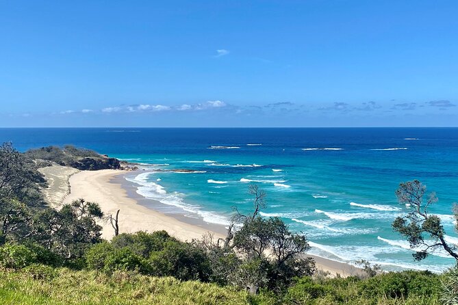 Deluxe Wine Tour to Tamborine Mountain, includes two course lunch - Lunch on the mountain: a two-course reset that actually matters