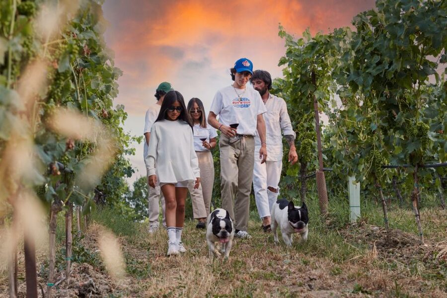 Desenzano: Lugana Wine-Tasting and Vineyard Tour - Key highlights worth your time