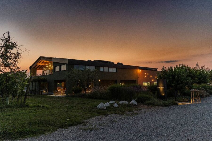 Desenzano: Lugana Wine-Tasting and Vineyard Tour - Where Lugana Meets Valtenesi: finding San Martino della Battaglia