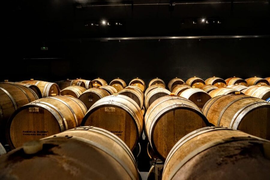 Desenzano: Lugana Wine-Tasting and Vineyard Tour - Language options and who this tour fits best