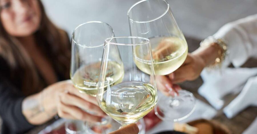 Desenzano: Lugana Wine-Tasting and Vineyard Tour - A family-run winery feel with modern cellar comfort