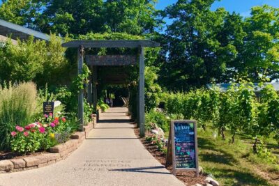 Designated Driver TC - We Drive Your Car - Private TC Wine Tour - Pickup and Drop-Off: How to Think About the Time You’re Paying For