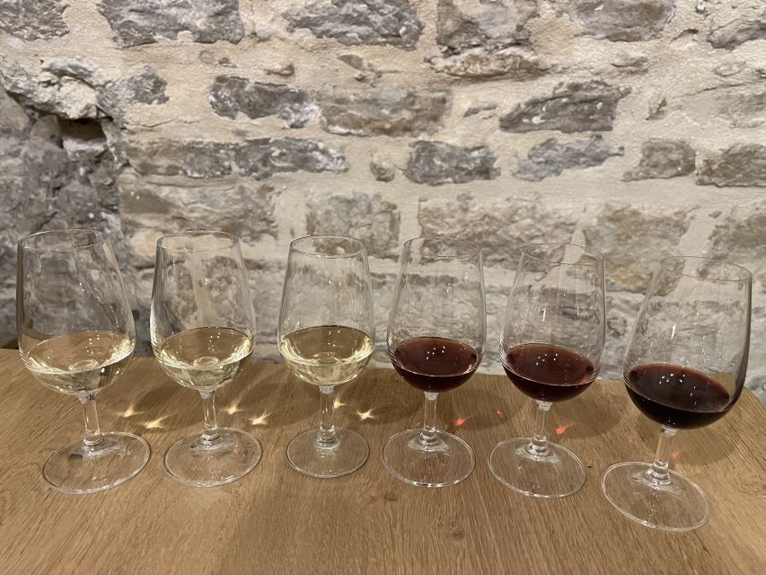 Dijon: Cheese and Burgundy Wine Tasting Workshop - Where You Meet: The Central Dijon Cellar (and Why It Matters)