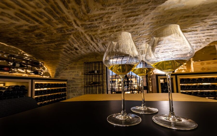 Dijon: La Cave du Palais Burgundy Wine Tasting Experience - The 90-minute flow: what happens after you arrive