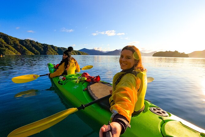Discover Marlborough Wine - Afternoon Marlborough Wine Tour - The ride there: what you get in the van