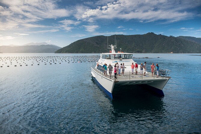 Discover Marlborough Wine - Afternoon Marlborough Wine Tour - Stop format: what happens at each of the four wineries