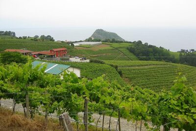 Discover the Essence of Txakoli Wine from San Sebastian - Pickup, timing, and the small-group feel for a 4-hour morning