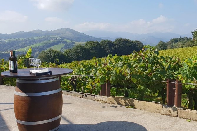 Discover the Essence of Txakoli Wine from San Sebastian - Price and value: is $175.36 worth it?