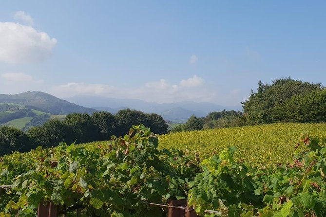 Discover the Essence of Txakoli Wine from San Sebastian - Small-group touring done right: what stands out in the day’s flow