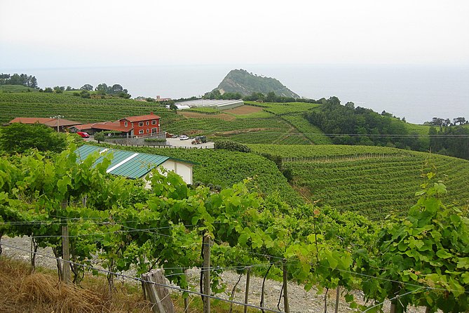 Discover the Essence of Txakoli Wine from San Sebastian - Pickup, timing, and the small-group feel for a 4-hour morning