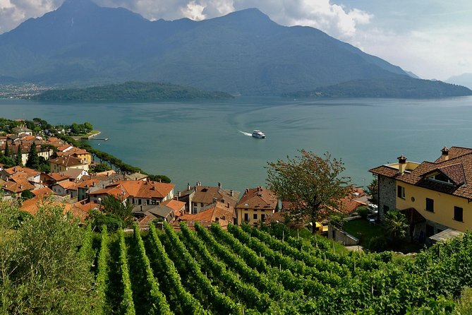 Domaso: Wine Tasting at the Winery on Como Lake - The 3-wine tasting: what you’re actually paying for