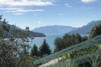 Domaso: Wine Tasting at the Winery on Como Lake - The cellar tour: where the tasting story starts