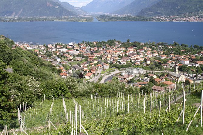 Domaso: Wine Tasting at the Winery on Como Lake - Food pairings in Lake Como style: ham, cheese, olive oil, and bread