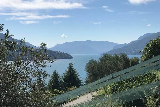 Domaso: Wine Tasting at the Winery on Como Lake - The cellar tour: where the tasting story starts