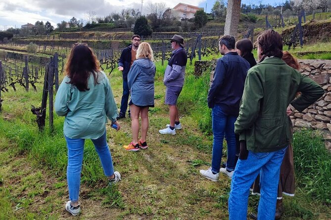 Douro Tour with Wine Tasting, River Cruise and Visit to Lamego - Pinhão Rabelo Boat Cruise: Where the River Does the Work