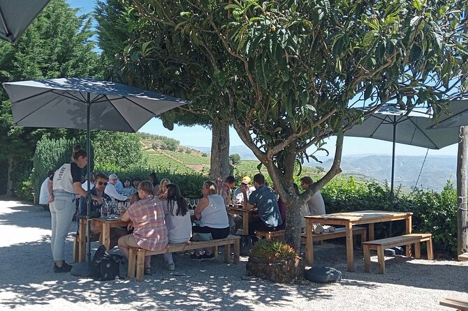 Douro Tour with Wine Tasting, River Cruise and Visit to Lamego - Lamego’s Family Vineyard: A Guided Wine Lesson in Plain English