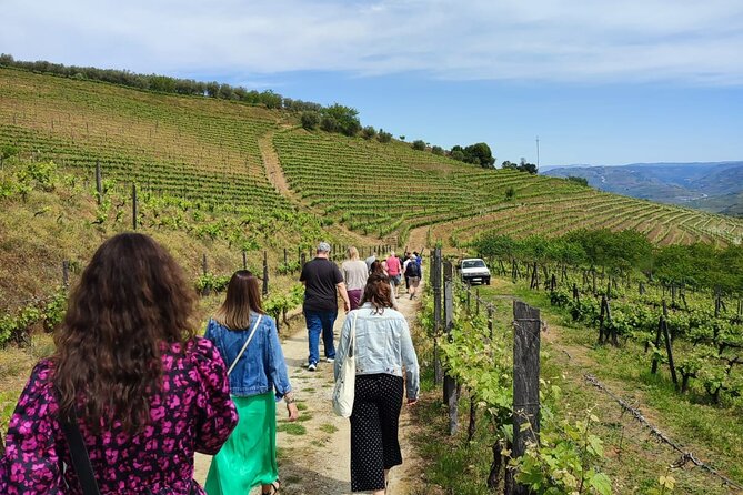 Douro Tour with Wine Tasting, River Cruise and Visit to Lamego - Meeting at Igreja da Lapa: The Morning Starts Early