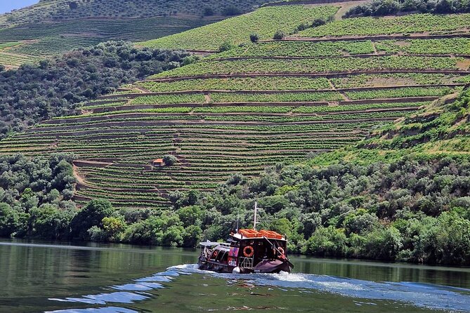 Douro Valley-Expert Guide-Boat-Lunch-Tastings-Offer wine bottle - Key things that make this Douro day work