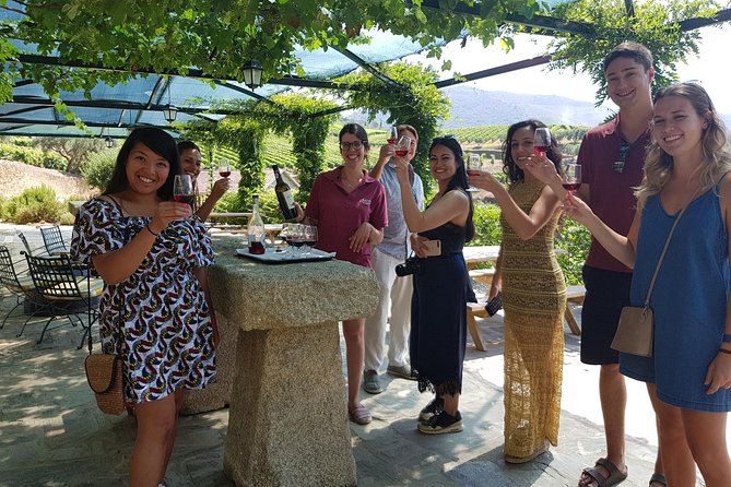 Douro Valley for Wine Lovers with Visit to 4 Wineries and Lunch - Key things to know before you go