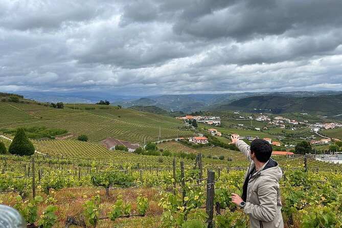 Douro Valley for Wine Lovers with Visit to 4 Wineries and Lunch - The Winery Route: Port, Table Wines, and Flavor Stops That Change Your Mood