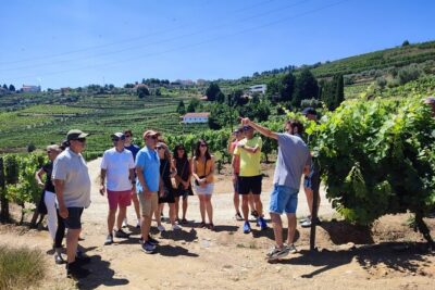Douro Valley for Wine Lovers with Visit to 4 Wineries and Lunch - 8:30 Pickup at Igreja da Lapa: Early Start, Clear Meeting Point