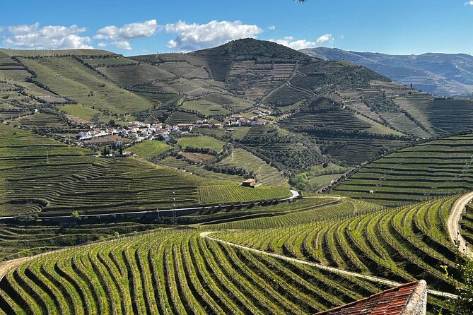 Douro Valley Half-Day Tour with Winery and Lunch From Porto - Key things that make this Douro half-day work