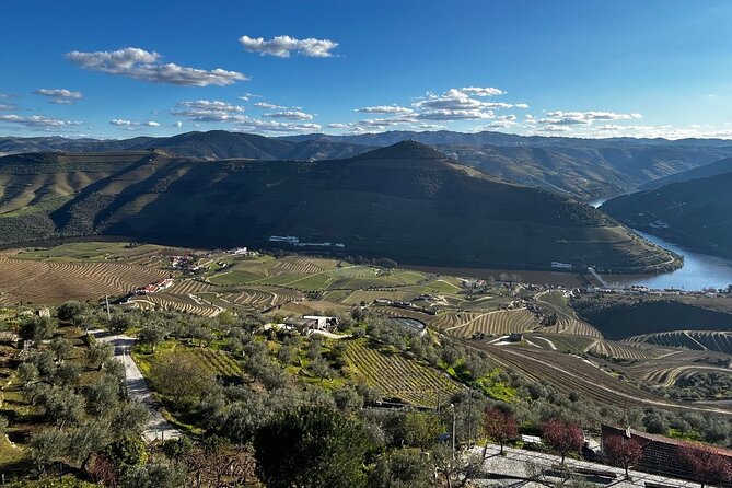 Douro Valley Half-Day Tour with Winery and Lunch From Porto - Tabuaco lunch: the part that turns a tasting tour into a real meal