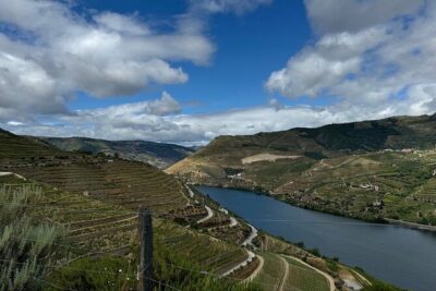 Douro Valley Half-Day Tour with Winery and Lunch From Porto - Pinhão winery stop: tastings with olive oil history, not just wine swirls