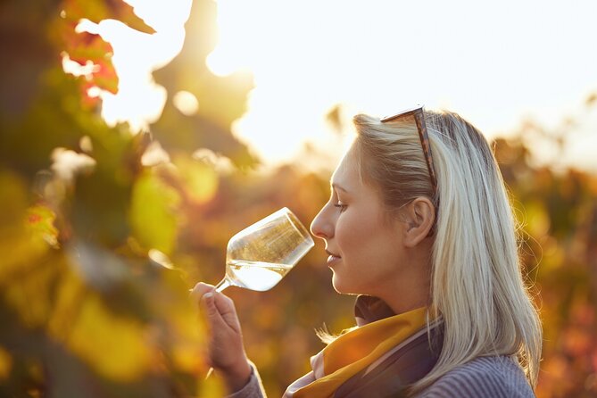 Douro Valley: Historical Sites, Wine Experience, Lunch & Cruise - Small-group comfort and the guides that make it work