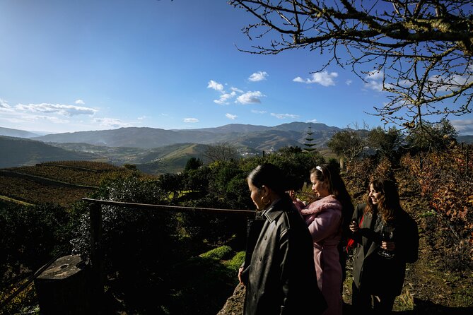 DOURO VALLEY: Lunch in a winery, tastings & 1-h private boat tour - Peso da Régua: lunch with wine pairings that actually match the day
