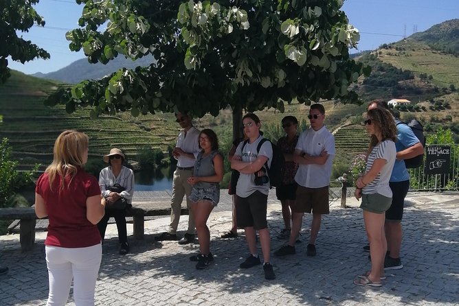 DOURO VALLEY: Lunch in a winery, tastings & 1-h private boat tour - The return drive to Porto: plan for a late drop
