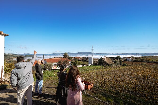 DOURO VALLEY: Lunch in a winery, tastings & 1-h private boat tour - Price and value: what $139.08 gets you in the real world