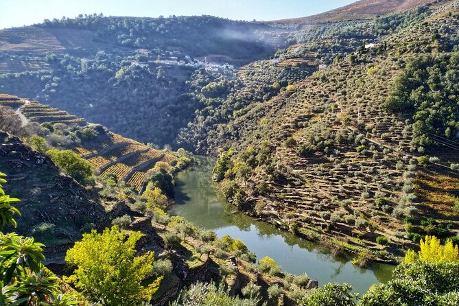 Douro Valley Prime Tour: Wine Tastings, Boat & Lunch from Porto - Entering the Douro from Porto at 8:15 sharp