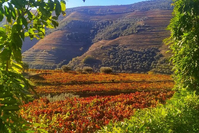 Douro Valley Prime Tour: Wine Tastings, Boat & Lunch from Porto - Spotting the Douro’s scale from the road