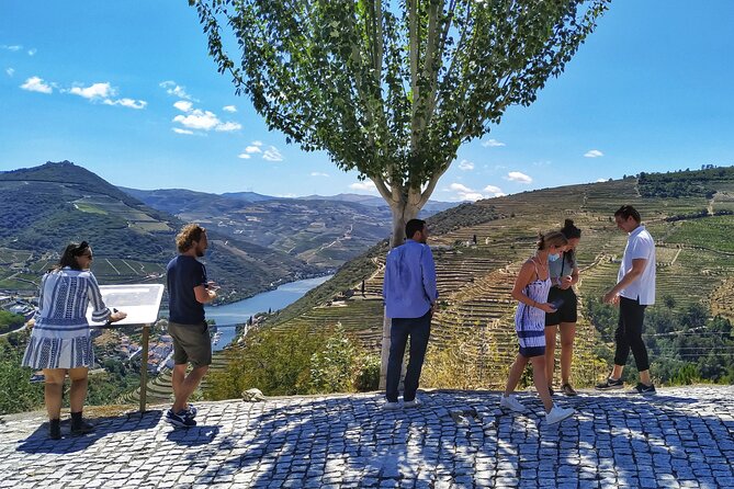 Douro Valley Prime Tour: Wine Tastings, Boat & Lunch from Porto - Lunch at the estate: 3 courses, Portuguese comfort, and more wine